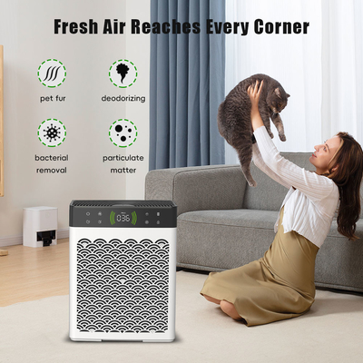 Good price Desumidificador e purificador de ar para interiores, lixo de gato e urina de cão, desodorizador on-line